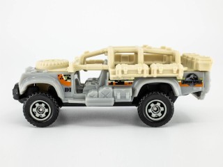 Sahara Surviver